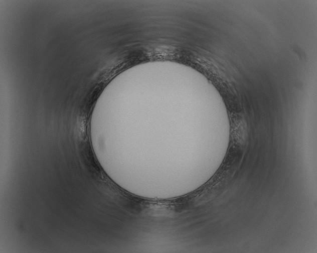 X0000116320709200912291533