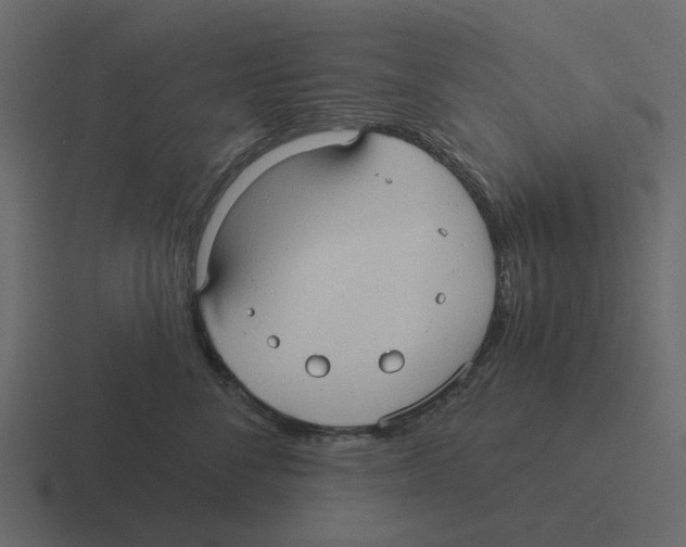 X0000116320716200912291533