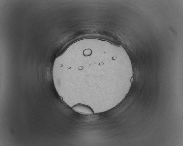 X0000116320719200912291533