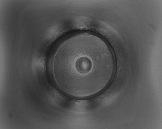 X0000116320720200912291533