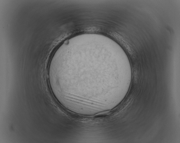 X0000116320721200912291532