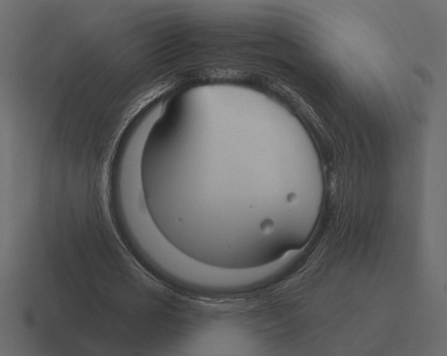 X0000116320725200912291533