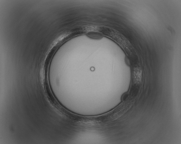 X0000116320726200912291533