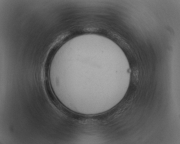 X0000116320734200912291533