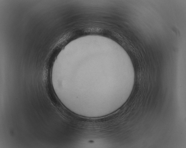 X0000116320735200912291533