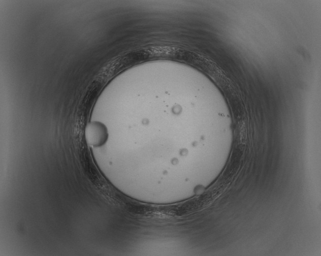 X0000116320737200912291533