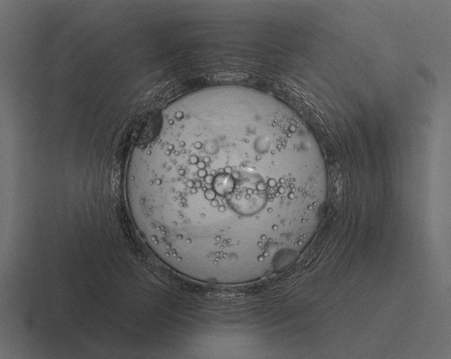 X0000116320745200912291533