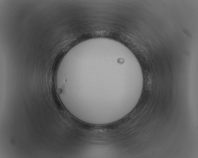 X0000116320746200912291533