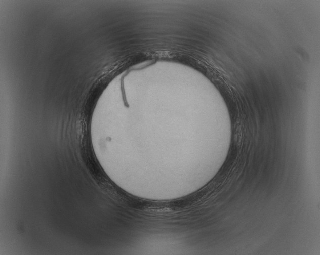 X0000116320747200912291533