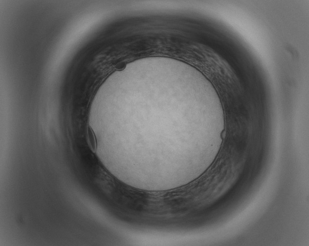 X0000116320766200912291533