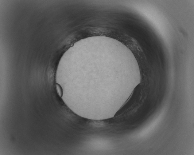 X0000116320767200912291533