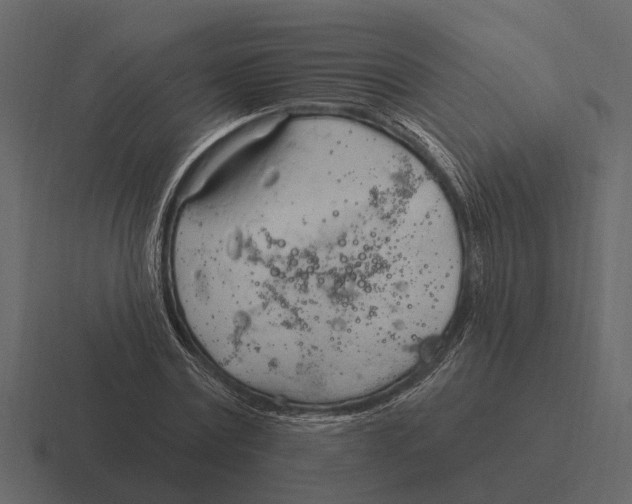 X0000116320779200912291532