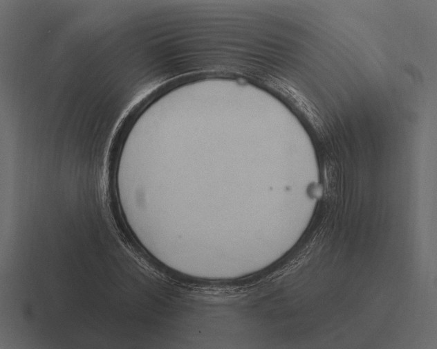 X0000116320780200912291532