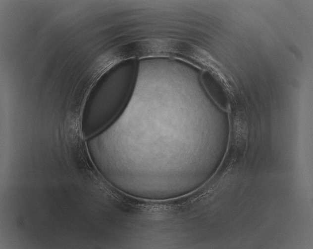 X0000116320785200912291532