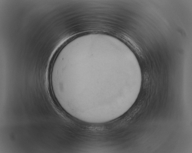 X0000116320788200912291532