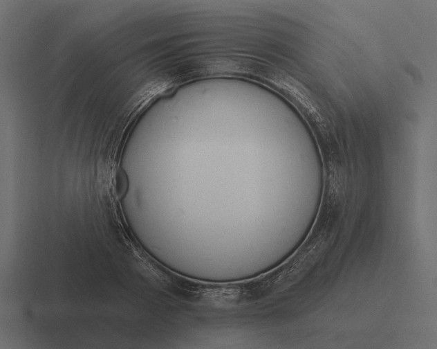 X0000116320793200912291532