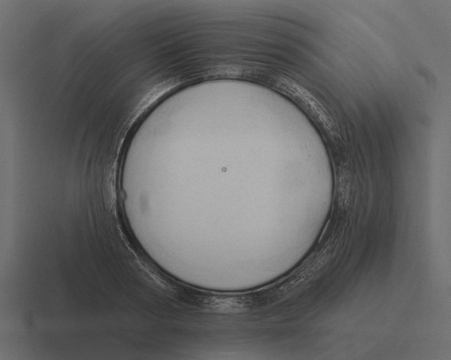 X0000116320794200912291532