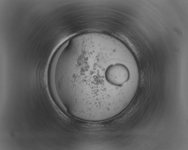 X0000116320795200912291532