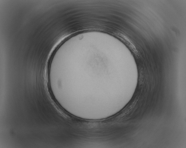 X0000116320796200912291532