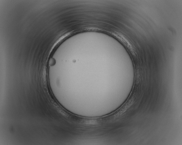 X0000116320798200912291532