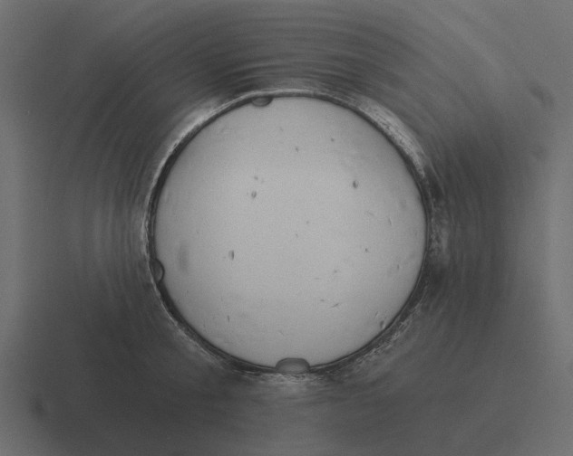 X0000116320805200912291532