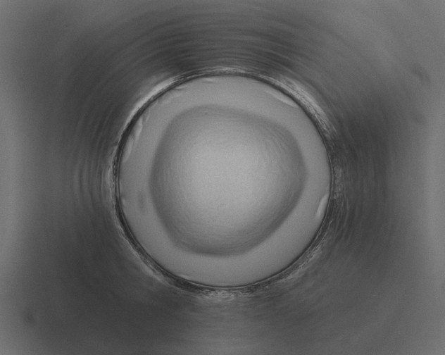 X0000116320806200912291532