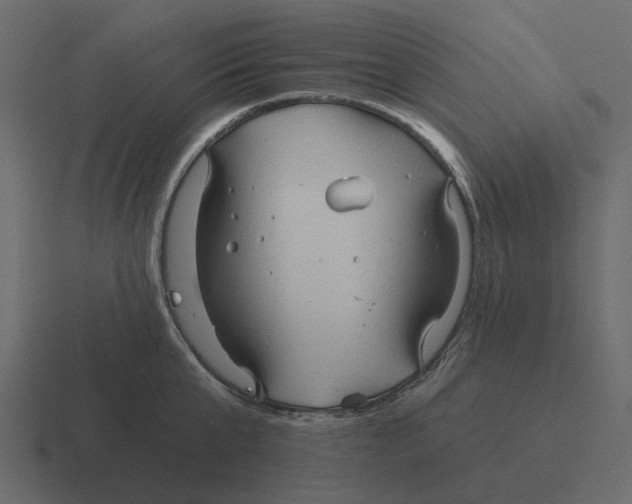 X0000116320807200912291532