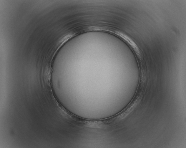 X0000116320809200912291532