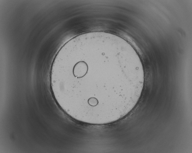 X0000116320810200912291532