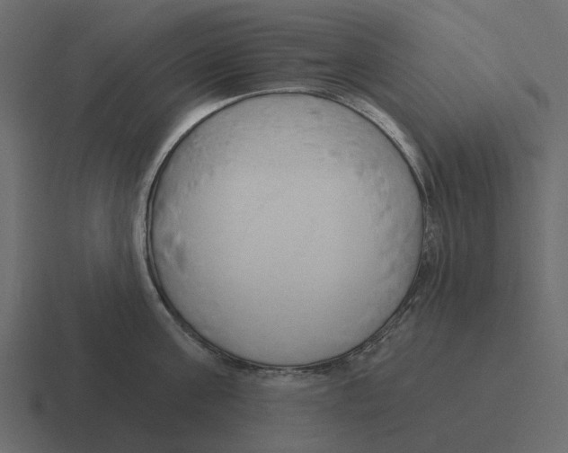 X0000116320811200912291532