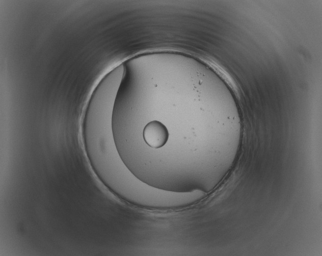 X0000116320813200912291532