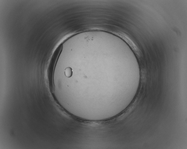 X0000116320814200912291532