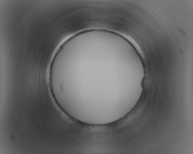 X0000116320815200912291532