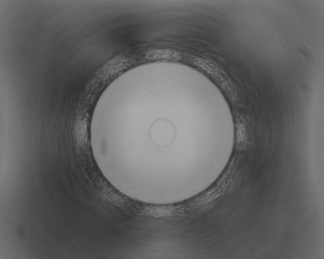 X0000116320820200912291531