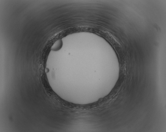 X0000116320821200912291531