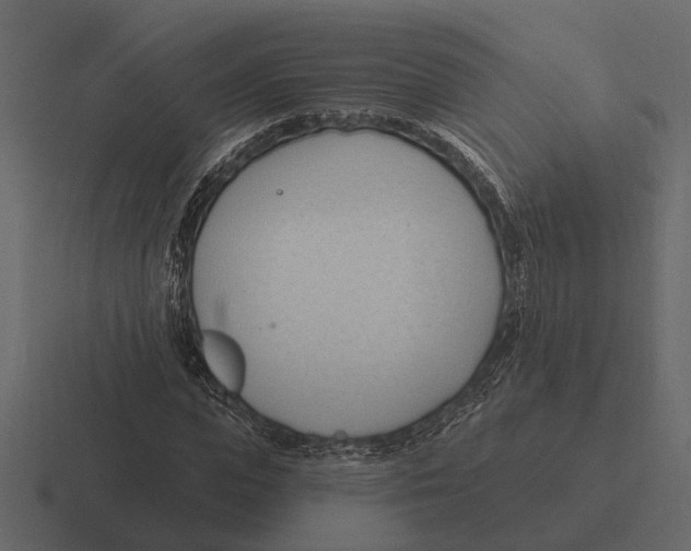 X0000116320823200912291531