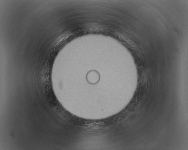 X0000116320824200912291531