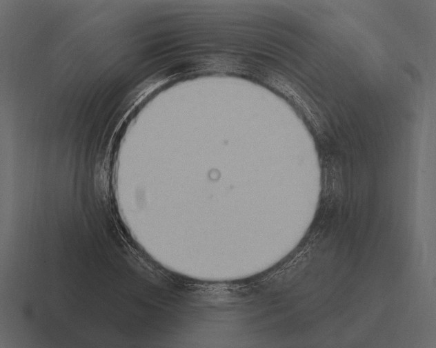 X0000116320828200912291531