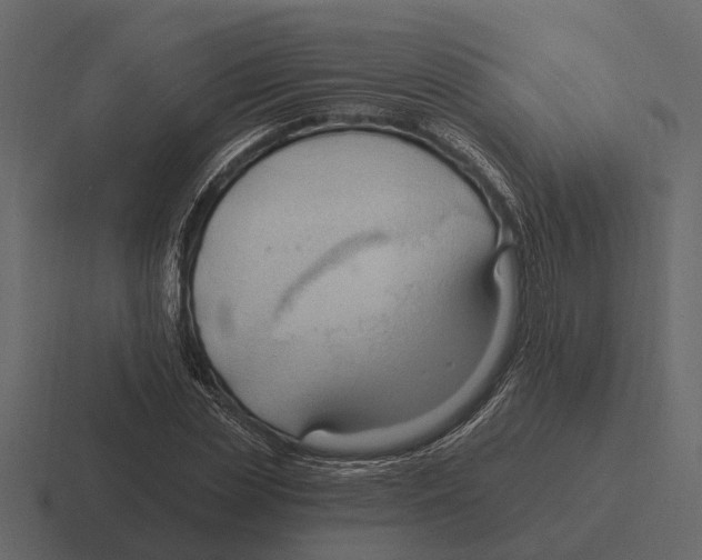 X0000116320829200912291531