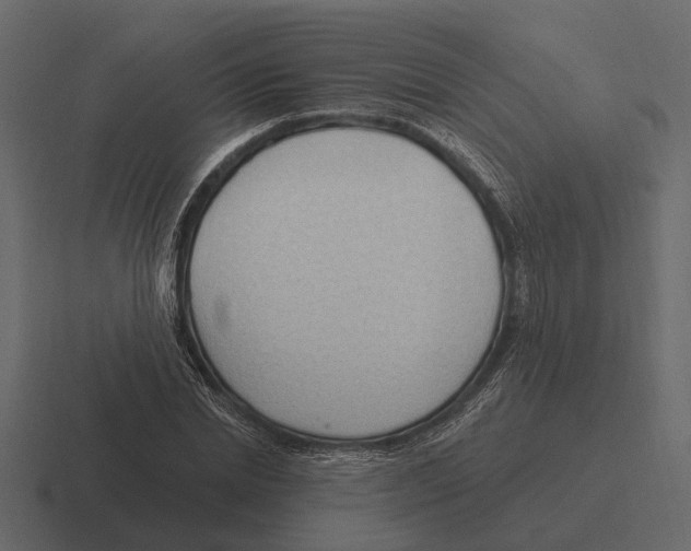 X0000116320830200912291531