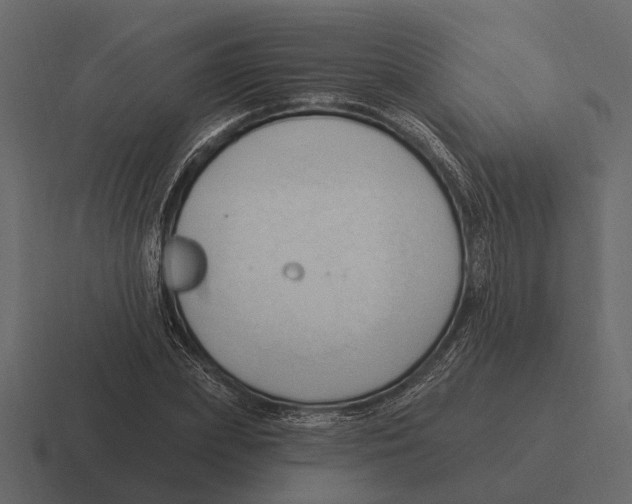 X0000116320831200912291531