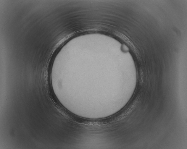 X0000116320834200912291532