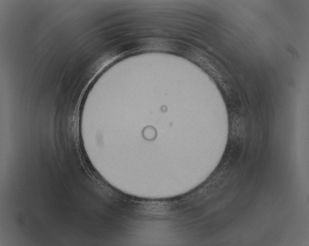 X0000116320836200912291532