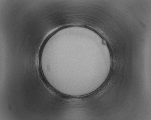 X0000116320838200912291532