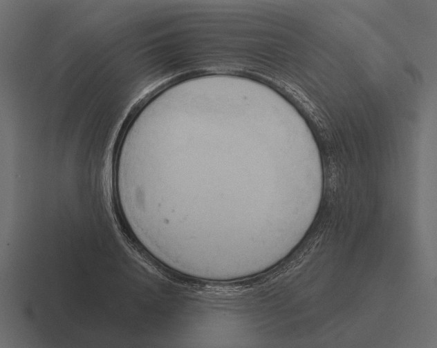 X0000116320840200912291532