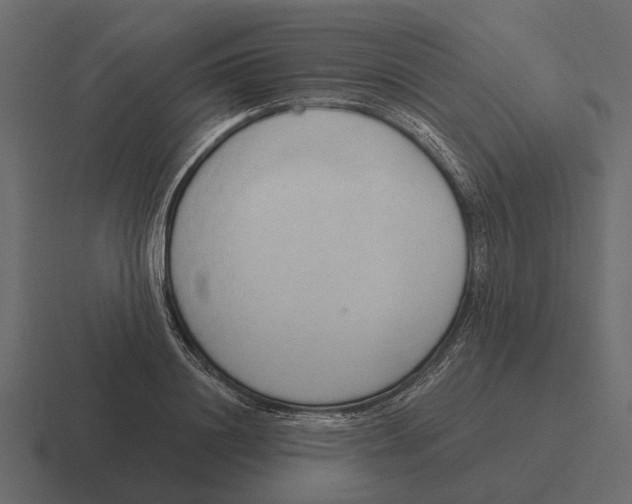 X0000116320844200912291532