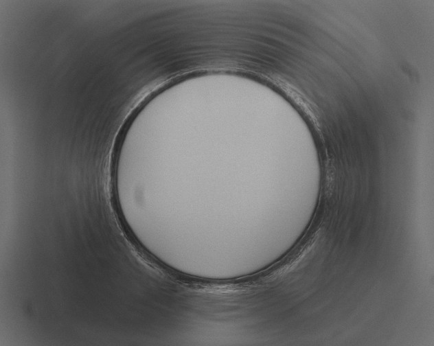 X0000116320845200912291532