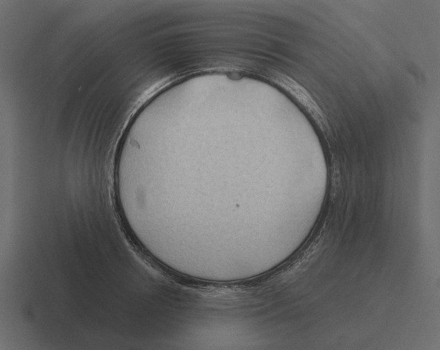 X0000116320850200912291532