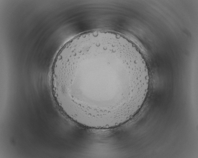 X0000116320856200912291532