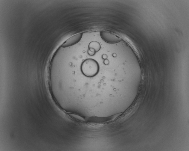 X0000116320859200912291532